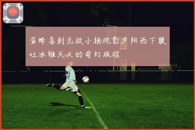 黄蜂毒刺无效小杨观影夕阳西下腹吐冰锥灭火的奇幻旅程