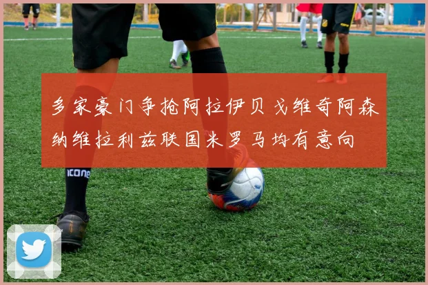 多家豪门争抢阿拉伊贝戈维奇阿森纳维拉利兹联国米罗马均有意向