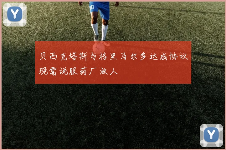 贝西克塔斯与格里马尔多达成协议现需说服药厂放人
