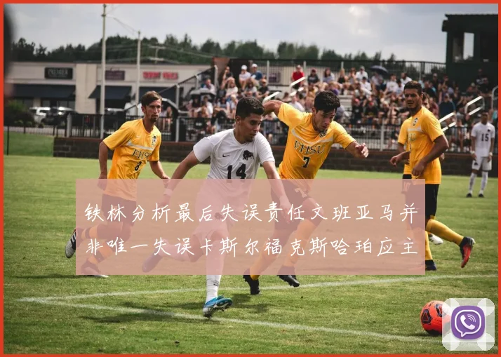 铁林分析最后失误责任文班亚马并非唯一失误卡斯尔福克斯哈珀应主动接球