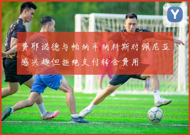 费耶诺德与帕纳辛纳科斯对佩尼亚感兴趣但拒绝支付转会费用