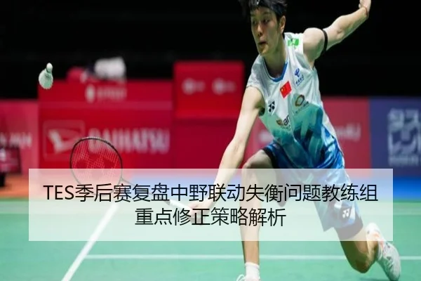 TES季后赛复盘中野联动失衡问题教练组重点修正策略解析（AOASPORTS）
